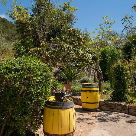 Cova Camp * Sant Antoni de Portmany