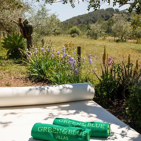 Cova Camp * Sant Antoni de Portmany