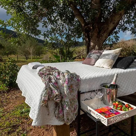 Cova Camp * Sant Antoni de Portmany