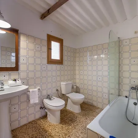 Cova Camp Sant Antoni de Portmany