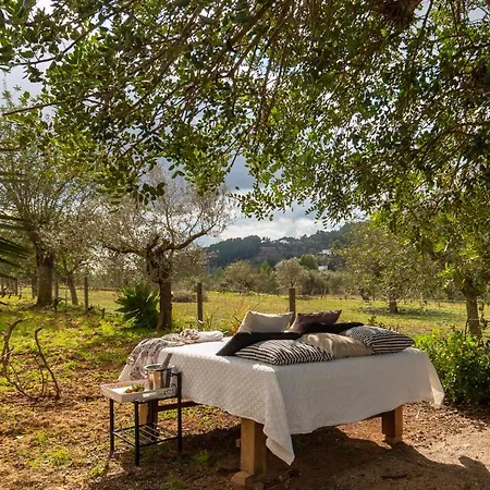 Cova Camp Sant Antoni de Portmany