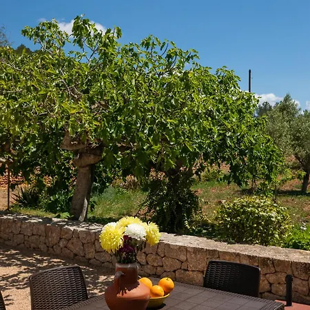 Cova Camp Appartement